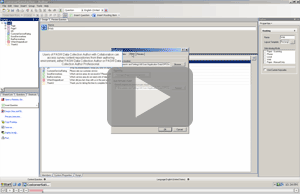 PASW Data Collection Author: Using Custom Wizards 